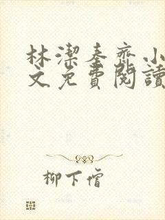 林洁秦齐小说全文免费阅读最新章节