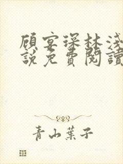 顾宴琛林浅月小说免费阅读最新章节