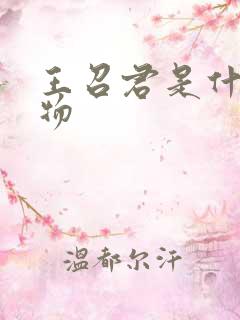 王召君是什么人物