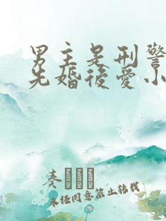 男主是刑警队长先婚后爱小说