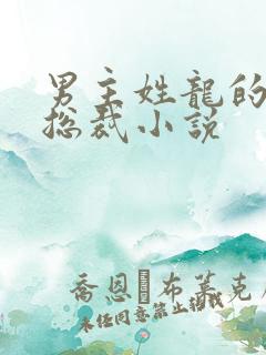 男主姓龙的霸道总裁小说