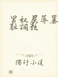 男奴屈辱暴露羞耻调教