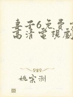 妻子6免费完整高清电视剧