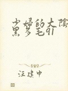 少妇的大阴户浓黑多毛91