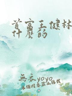 首富王健林是做什么的