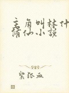 主角叫林什么的修仙小说