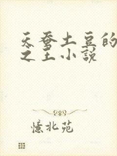 天蚕土豆的万相之王小说