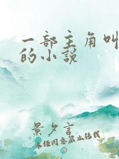 一部主角叫林栋的小说