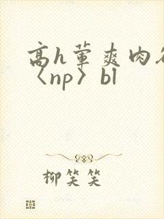 高h荤爽肉欲文〈np〉bl