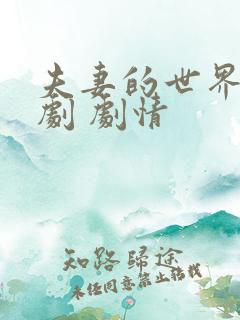 夫妻的世界 韩剧 剧情