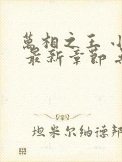 万相之王 小说 最新章节 无弹窗