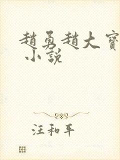 赵勇赵大宝苏媚 小说