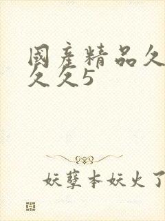 国产精品久久久久久5