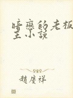 暗恋的老板是个主小说