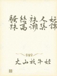 骚丝袜人妖骚丝袜高潮集锦绣