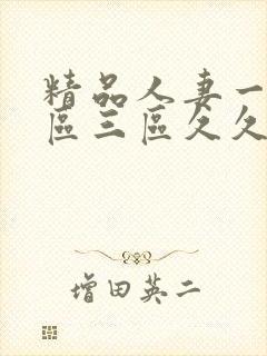 精品人妻一区二区三区久久夜夜嗨