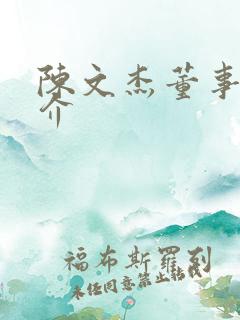 陈文杰董事长简介