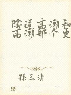 阴道高潮和阴蒂高潮那个更舒服