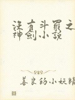 没有斗罗之灵珠神剑小说