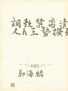 调教禁脔清冷美人h玉势扩张小说