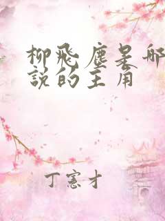 柳飞尘是哪部小说的主角