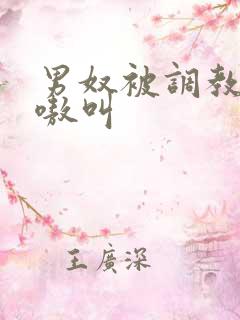 男奴被调教的嗷嗷叫