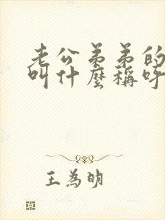 老公弟弟的儿子叫什么称呼