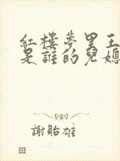 红楼梦里王熙凤是谁的儿媳妇