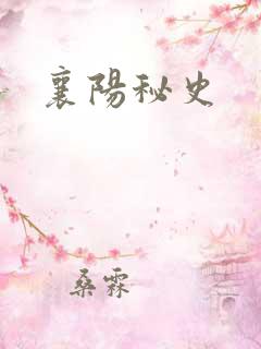 襄阳秘史