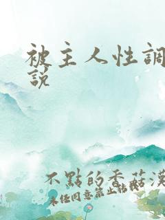 被主人性调教小说