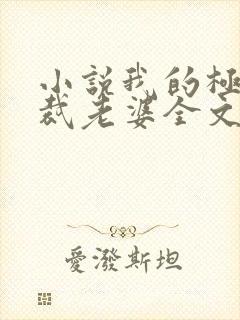 小说我的极品总裁老婆全文免费阅读