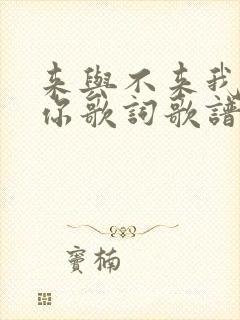 来与不来我都等你歌词歌谱