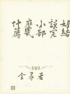 什么小说好看推荐几部完结的言情