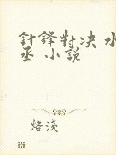 针锋对决 水千丞 小说