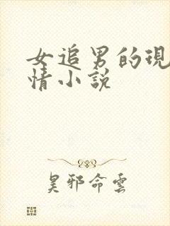 女追男的现代言情小说