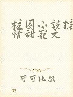 校园小说推荐言情甜宠文