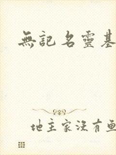 无记名灵基