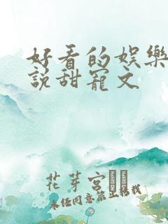 好看的娱乐圈小说甜宠文