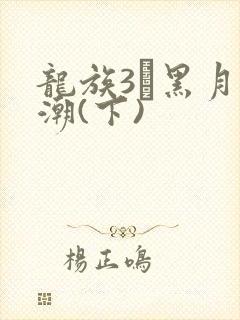 龙族3·黑月之潮(下)