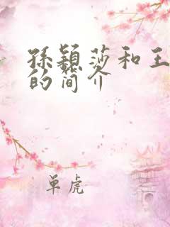 孙颖莎和王楚钦的简介