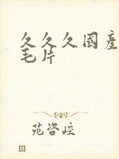 久久久国产精品毛片