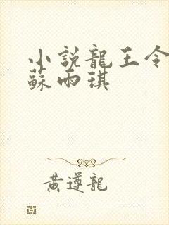 小说龙王令陈平苏雨琪