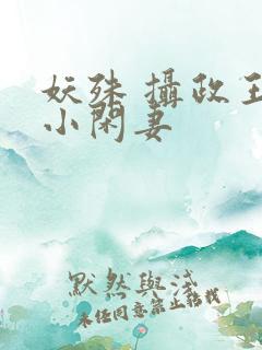 妖殊 摄政王的小闲妻