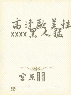 高清欧美性猛交xxxx黑人猛