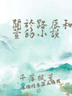 关于路辰和穆紫萱的小说