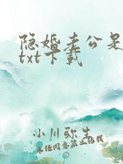 隐婚老公是巨星txt下载