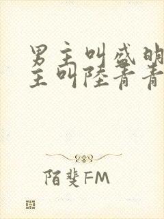 男主叫盛明羲女主叫陆青青的小说