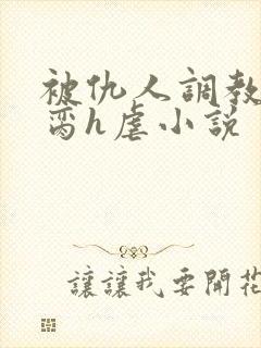 被仇人调教成禁脔h虐小说