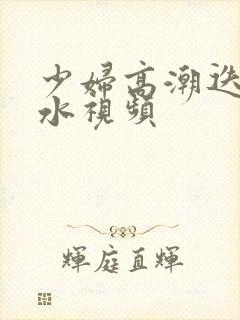 少妇高潮迭起喷水视频