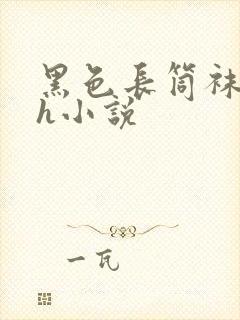 黑色长筒袜校花h小说